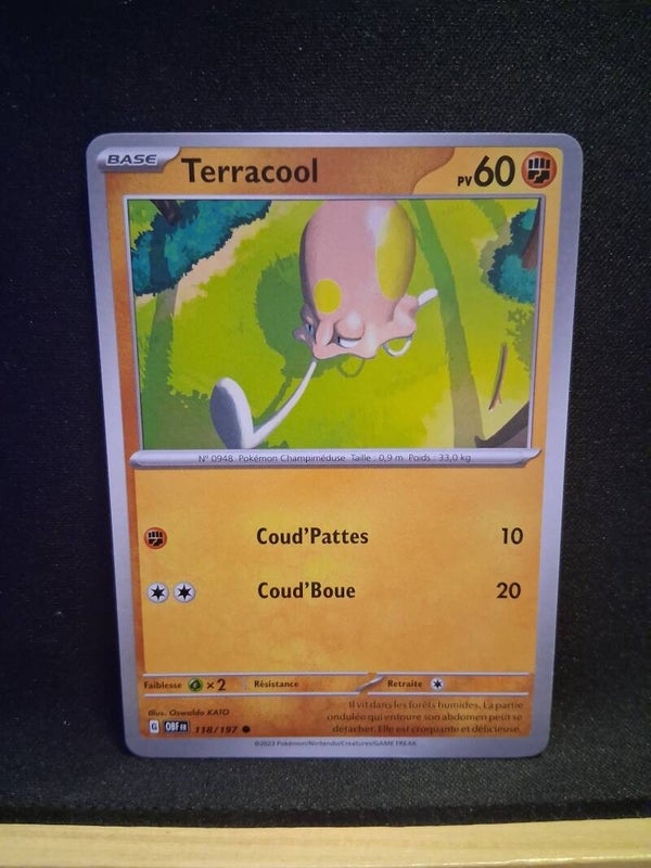 Terracool 60-2