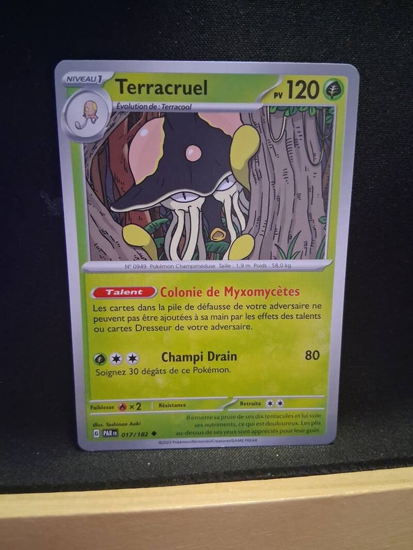 Terracruel 120-5