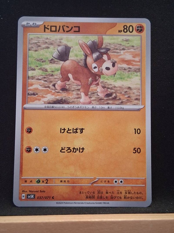 Tipaleton 80 (Japonais)5