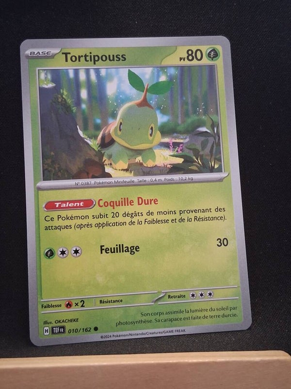 Tortipouss 80-10
