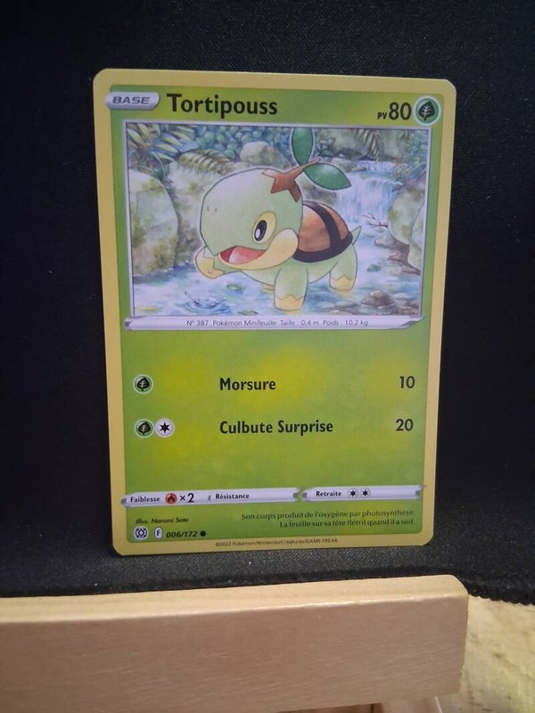 Tortipouss 80-7