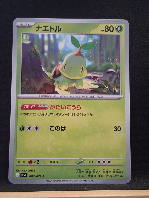Tortipouss 80 (Japonais)2