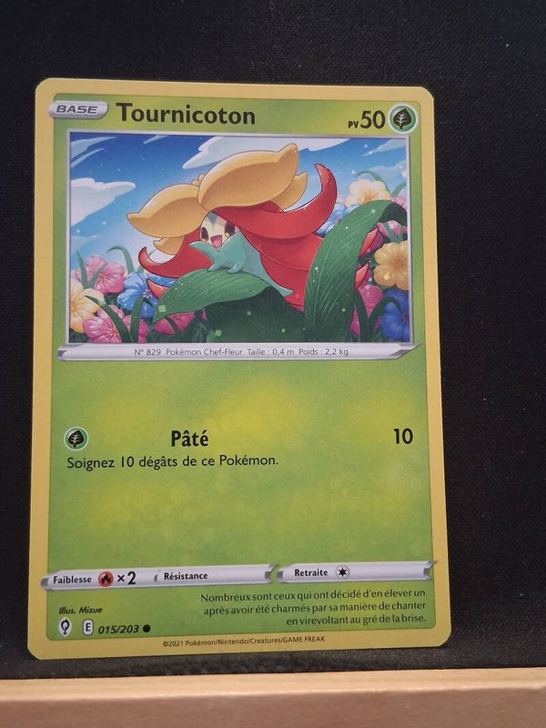 Tournicoton 50-17