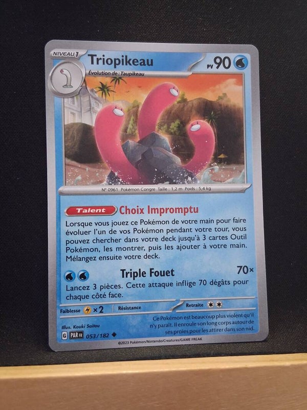 Triopikeau 90-4