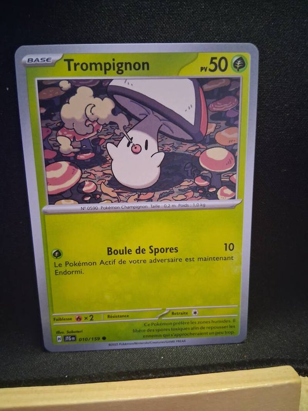 Trompignon 50-6