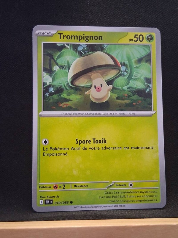 Trompignon 50-8