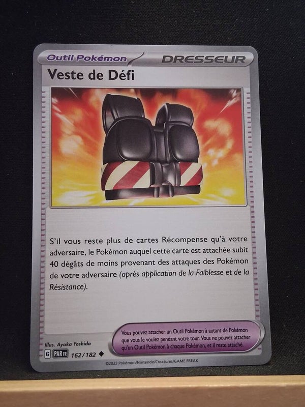 Veste De Defi (Dresseur)1