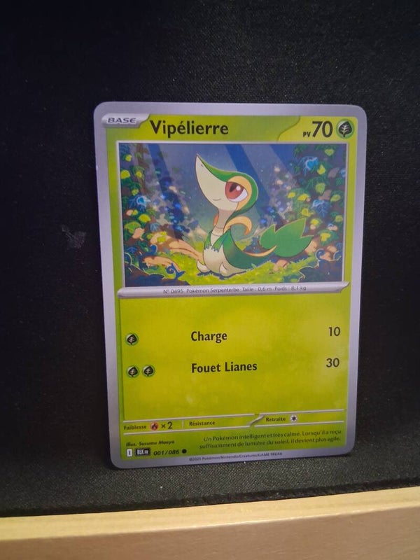 Vipelierre 70-1