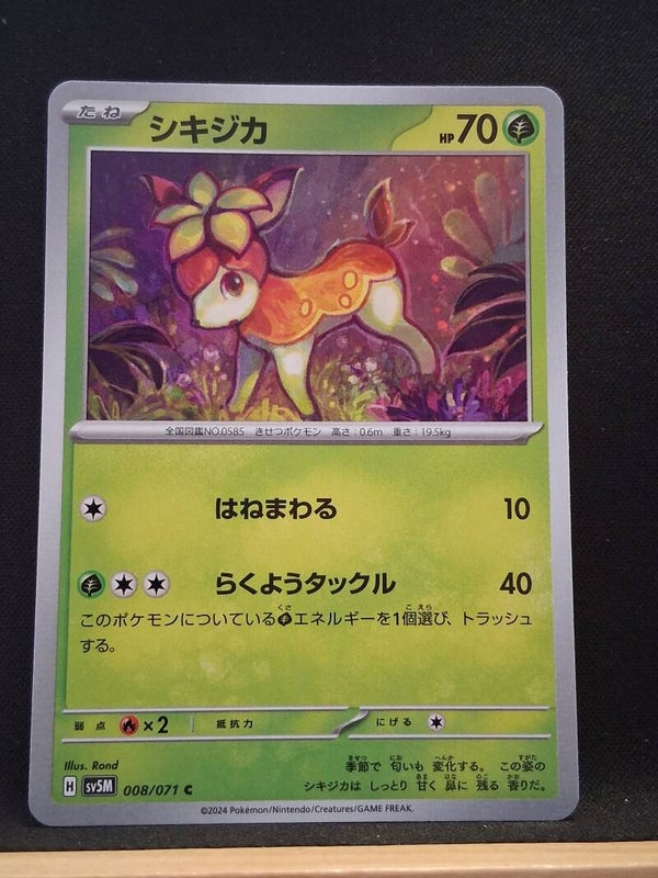 Vivaldaim 70 (Japonais)5