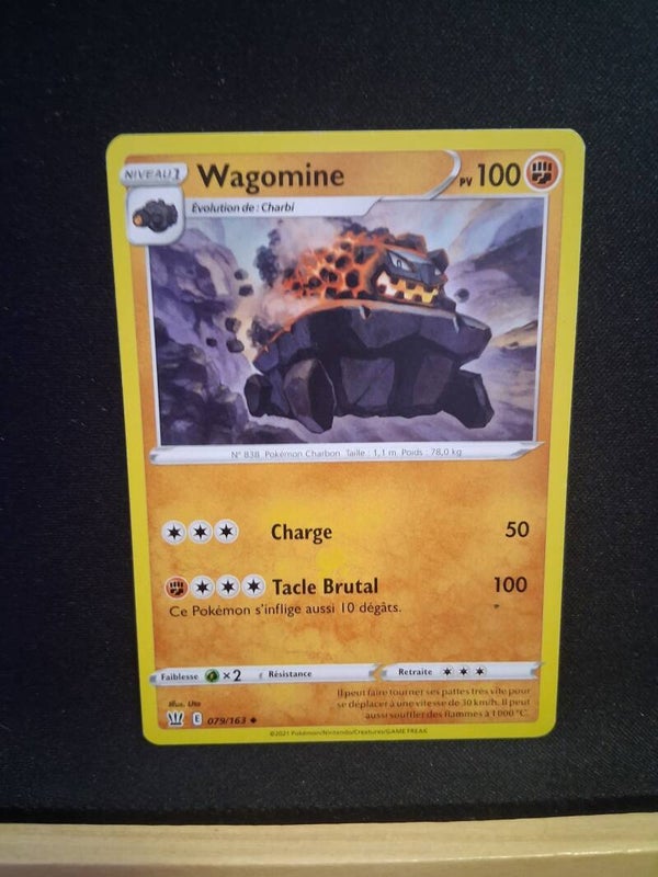 Wagomine 100-2