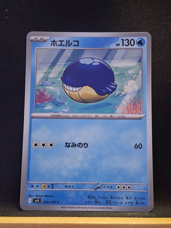 Wailmer 130 (Japonais)2