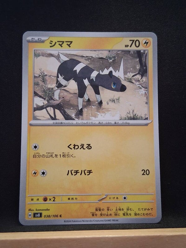 Zébibron 70 (Japonais)3