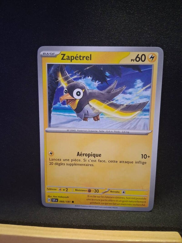 Zapetrel 60-12