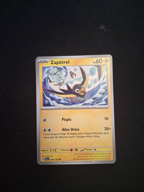 Zapetrel 60-2