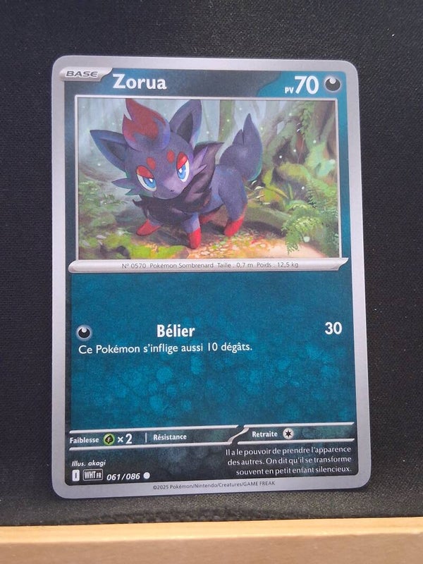 Zorua 70-7