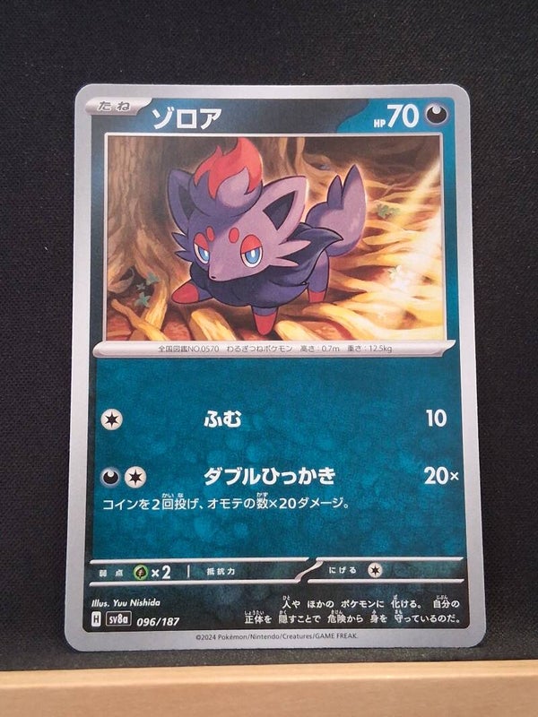 Zorua 70 (Japonais)5