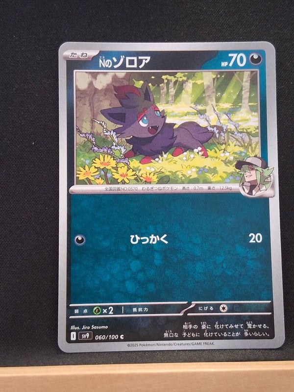 Zorua de N 70 (Japonais)6