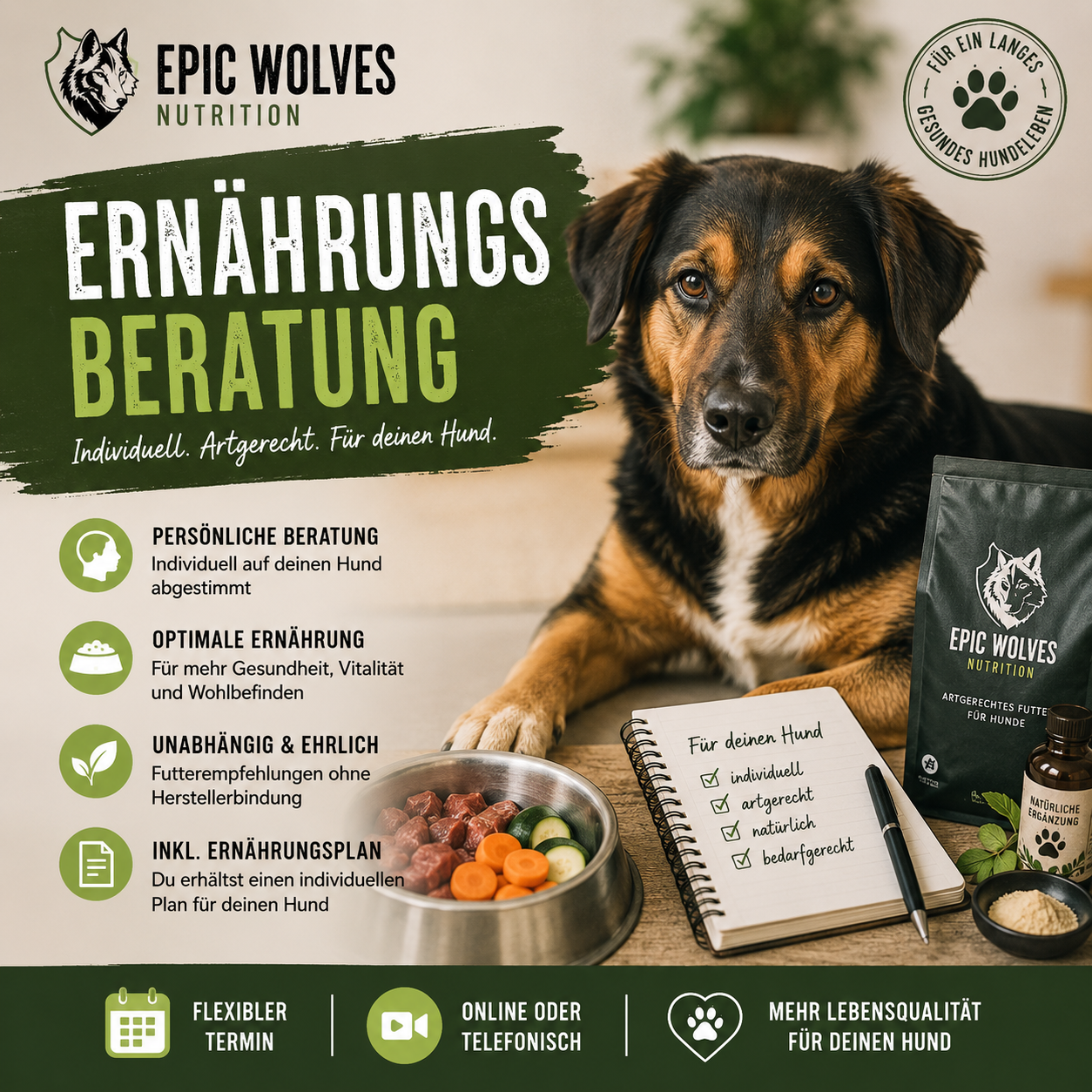 Individuelle Ernährungsberatung für Hunde – artgerecht & persönlich