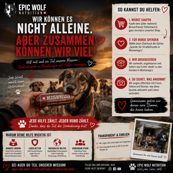 Futterhilfe für Straßenhunde in Montenegro