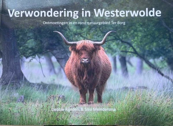 Boekje: Verwondering in Westerwolde