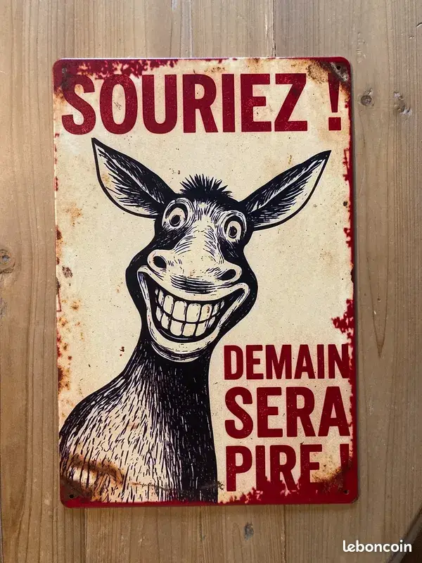 Plaque Métal Vintage « Souriez Demain Sera Pire » – 20 x 30 cm