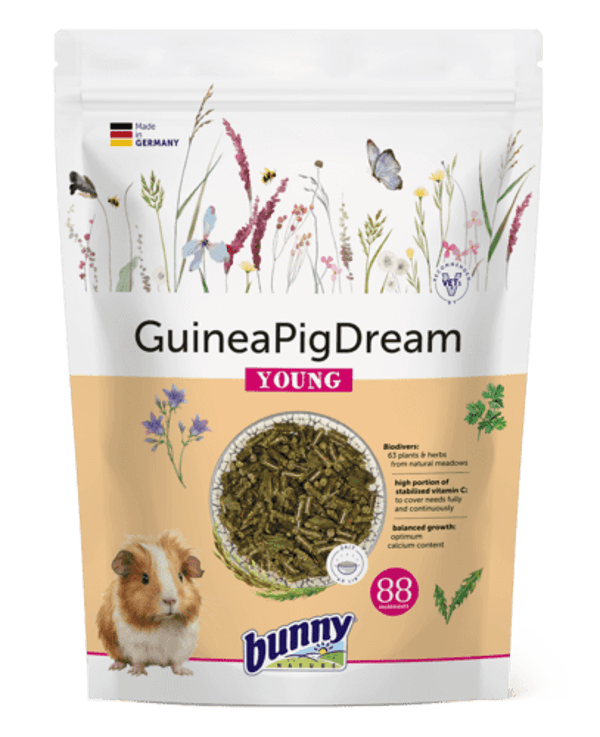 Sogno per Porcellini D'India Young