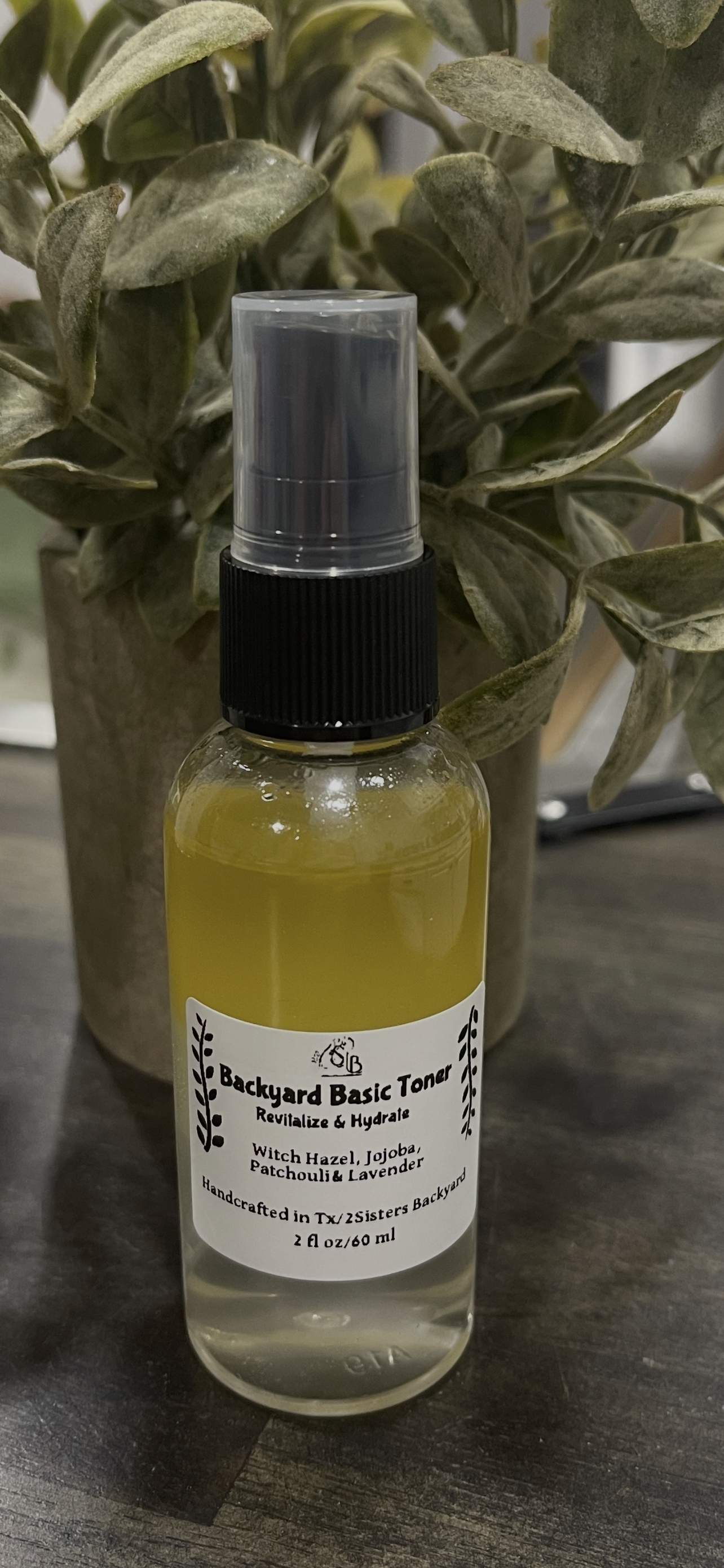 Face Toners - Backyard Toning System