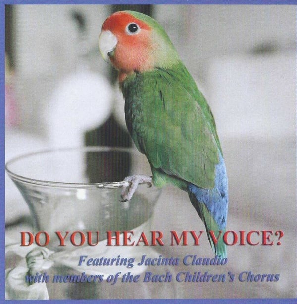 Do You Hear My Voice?
