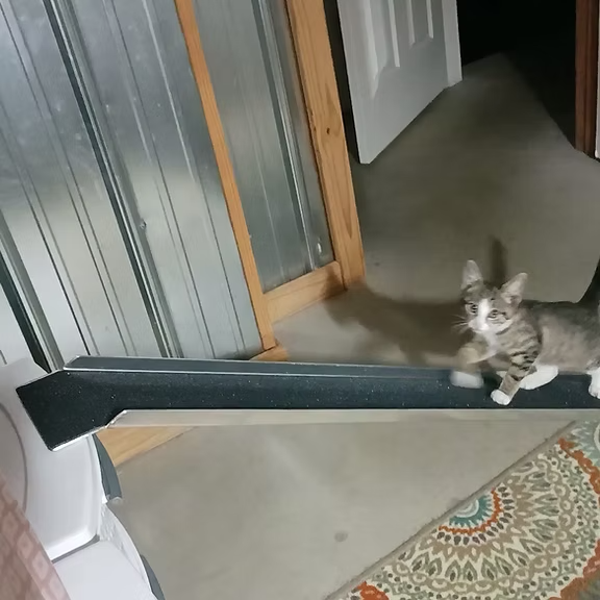 Aluminum Pet Dog Cat Ramp with 1 Inch Side Bend Up