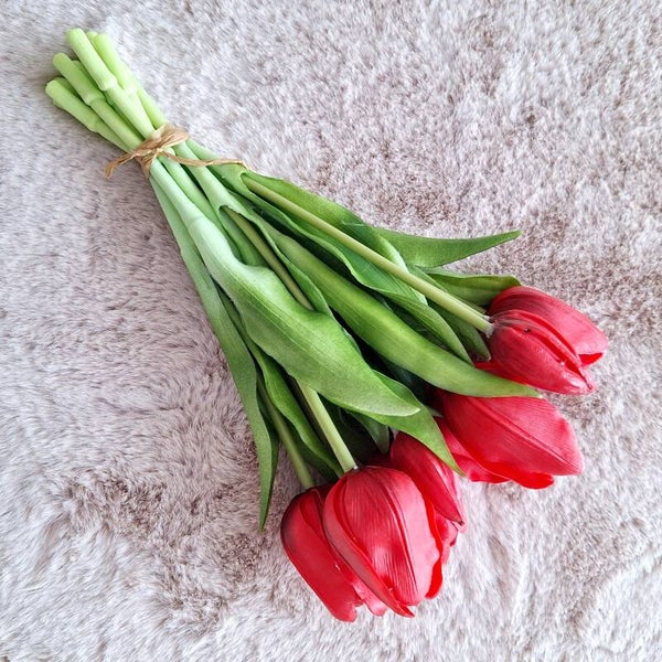 Tulpen - rood