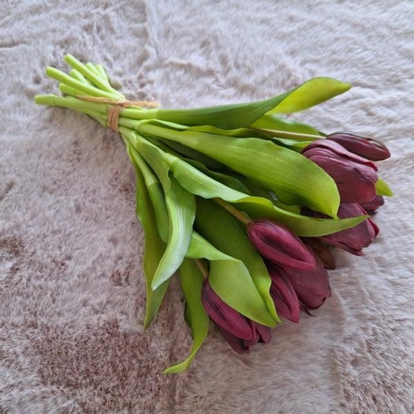 Tulpen - paars