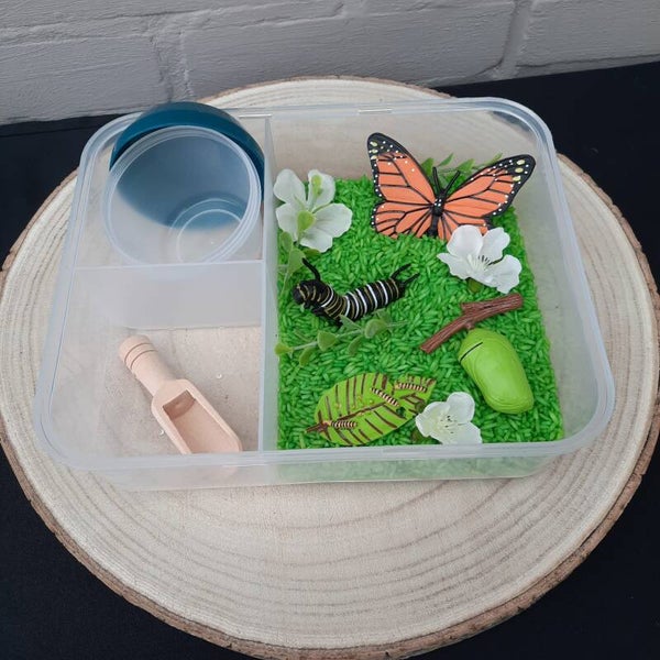 Gekleurde speelrijst - Levenscyclus vlinder set