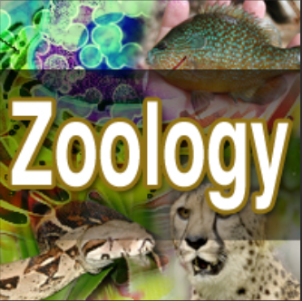 Zoology