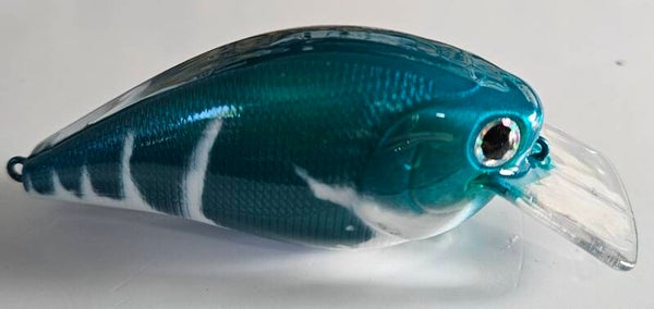 2.5 LARGE SQUAREBILL RATTLE