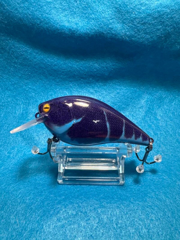 2.5 Squarebill