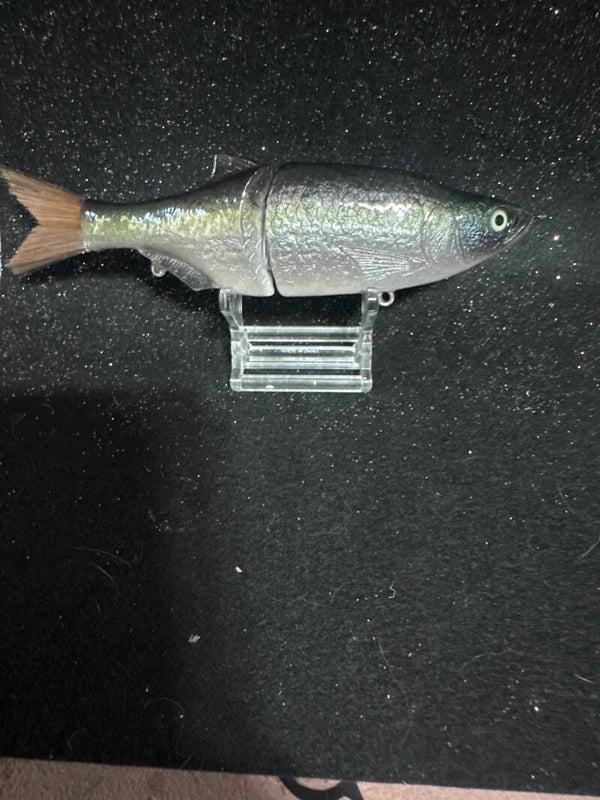 6 in slim shad