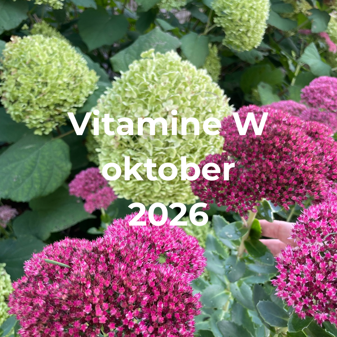 Vitamine W keuze uit 3 of 5 x 20 gram mini’s