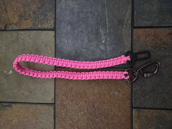Pet Seatbelts