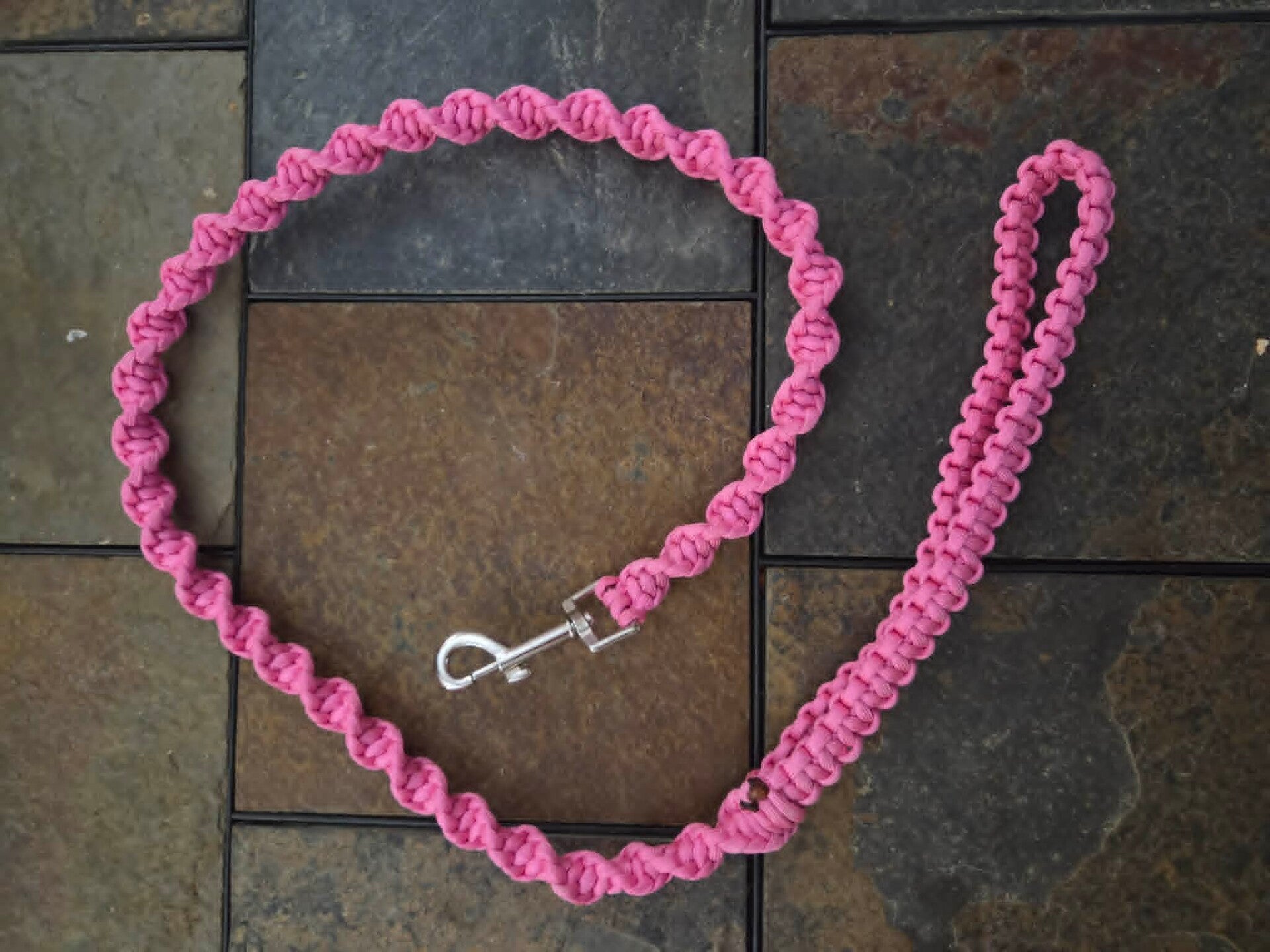 Pet Leashes