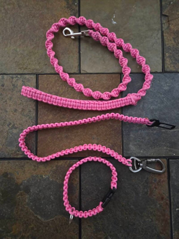 Pet Set