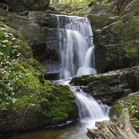 Rust, natuur, ontspanning, waterval