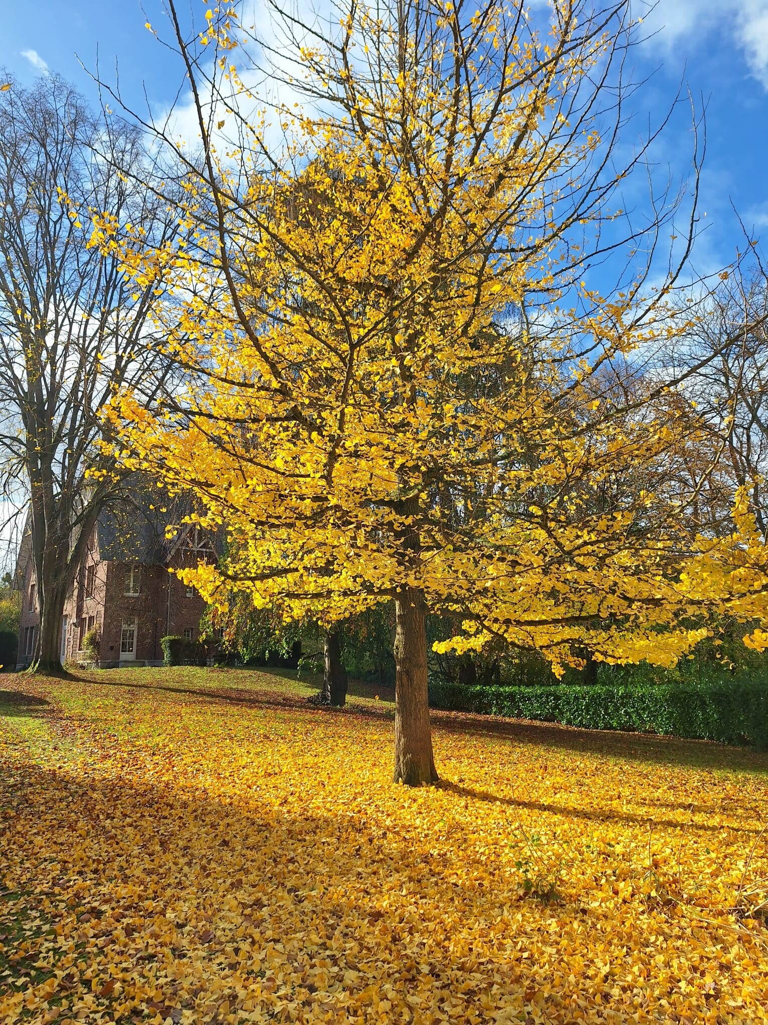 Rust, natuur, ontspanning, waterval