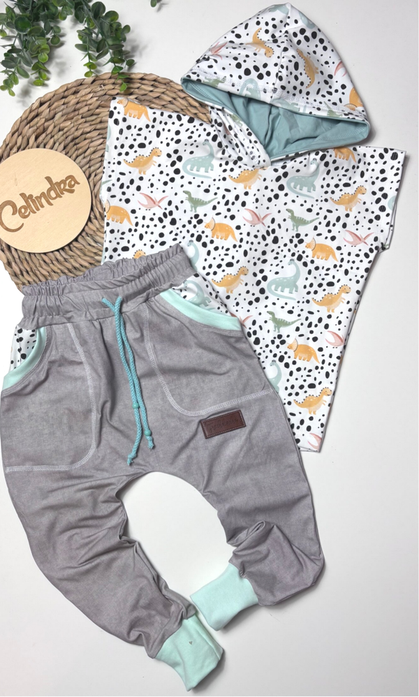 Set Dino 110/116