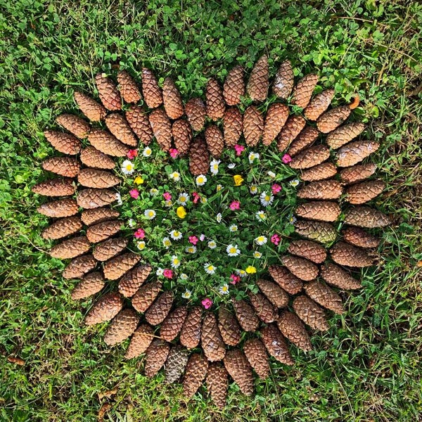 7 November 2026: Creatieve Meditatie