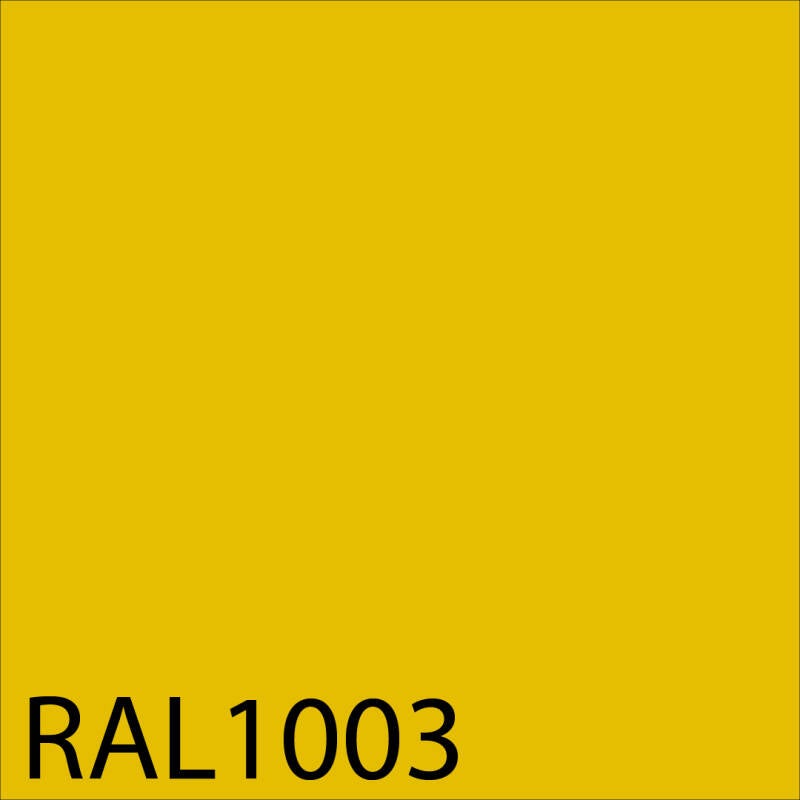 1003-standard.jpg