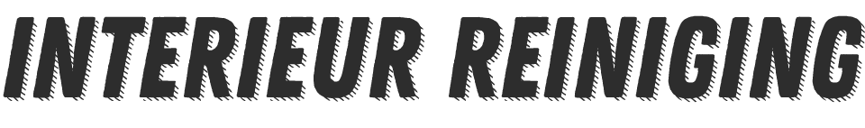 interieur reiniging wagen