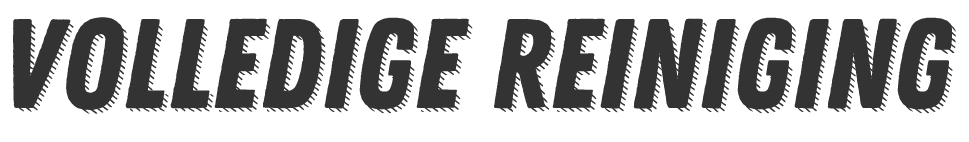 wagen binnen en buiten laten reinigen