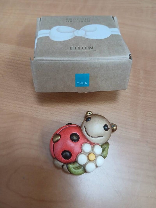 Calamita thun coccinella con scatola