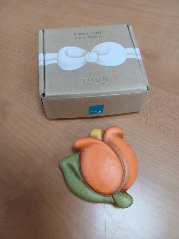 Calamita thun tulipano con scatola