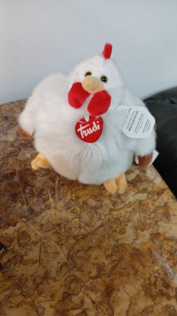 Peluche gallina trudi nuovo con etichetta